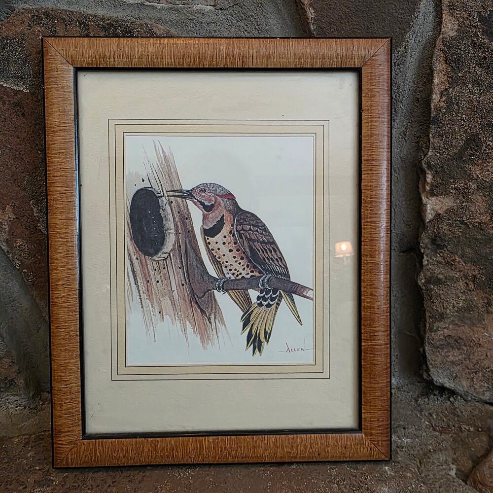 VTG Framed Lithograph Print Northern Flicker Bird Woodpecker Cabin Core Rustic